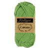 Catona-50g-412-Forest-Green-Scheepjes-260508153757.jpg Catona 50g - 412