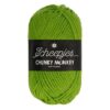 Chunky-Monkey-2016-Fern-Scheepjes-260618191058.jpg Chunky Monkey - 2016